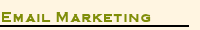 Email Marketing