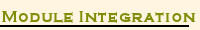 Module Integration